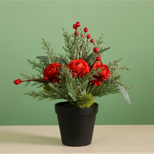 Xmas Potted Arr No.8