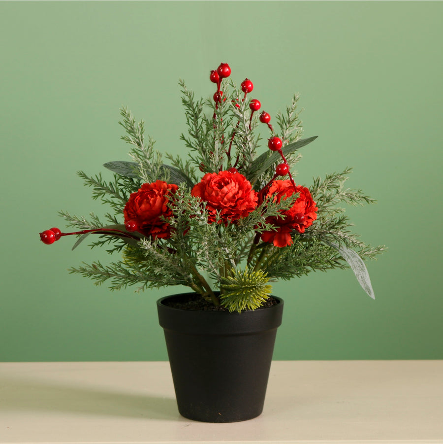 Xmas Potted Arr No.8