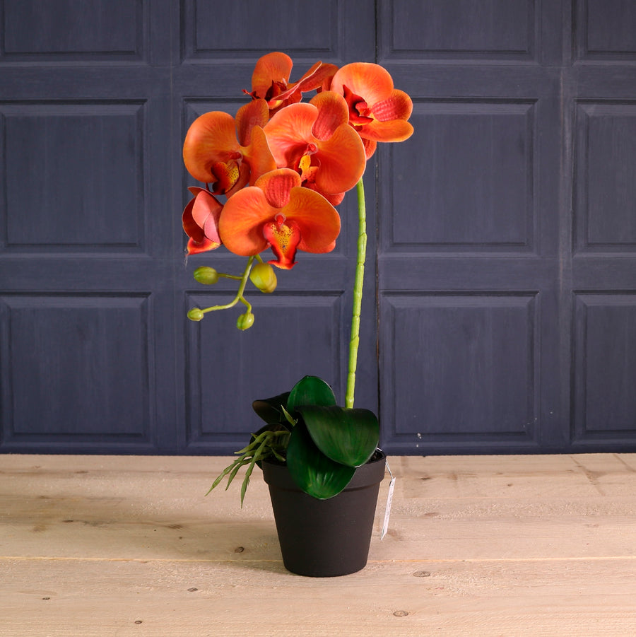 Deluxe Faux Orchid Arrangement Style 3