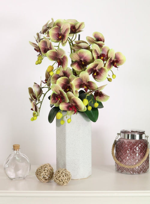 Phalaenopsis In Octagon Vase Arrangement