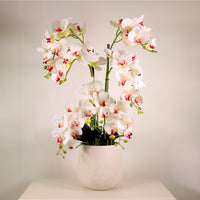Lavish Faux Orchid Arrangement No:4 Cotton Kiss