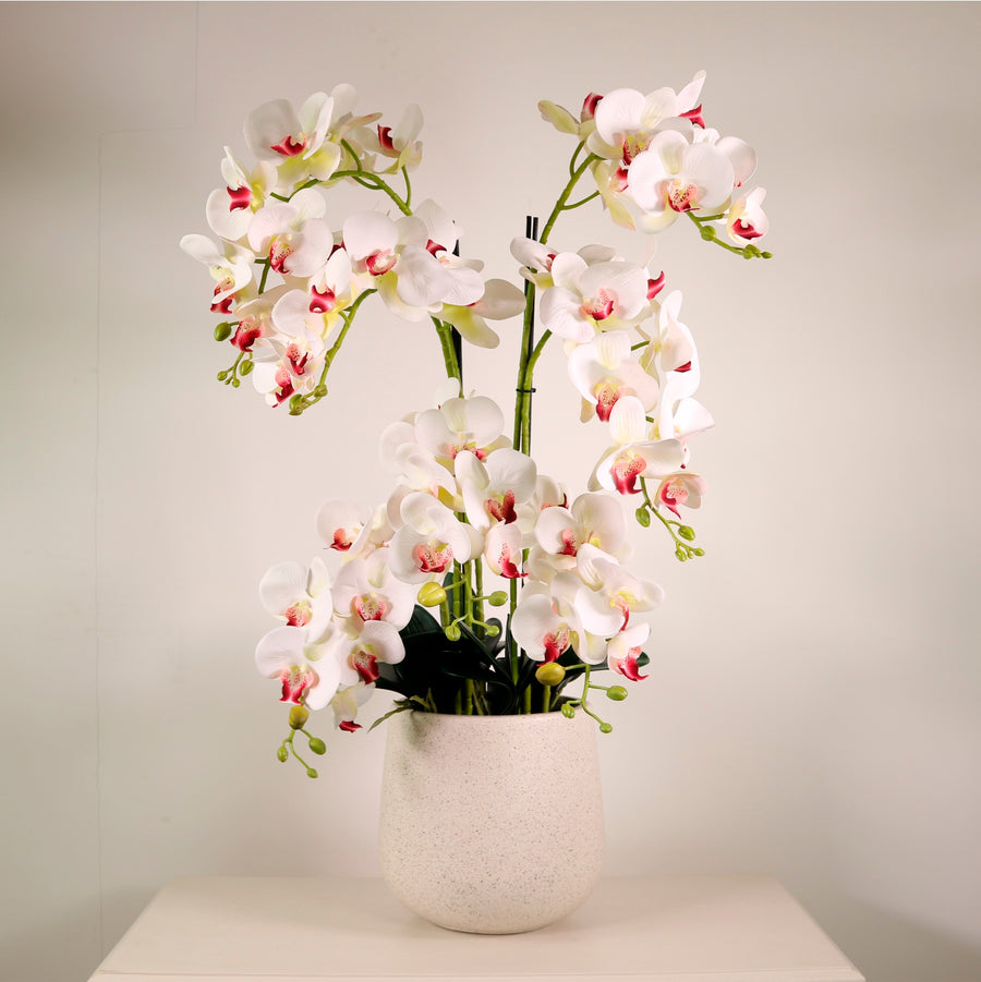 Lavish Faux Orchid Arrangement No:4 Cotton Kiss