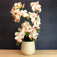 Lavish Faux Orchid Arrangement No:4 Cotton Kiss