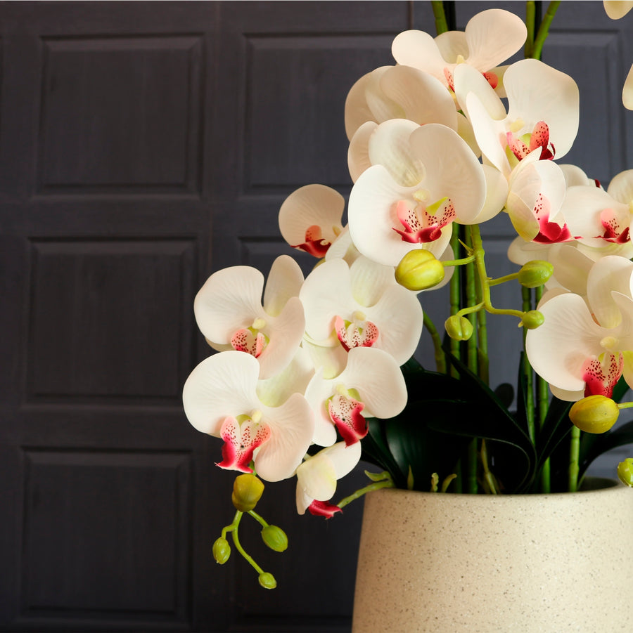 Lavish Faux Orchid Arrangement No:4 Cotton Kiss