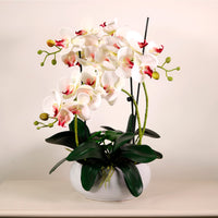 Luxury Faux Orchid Arrangement No:1