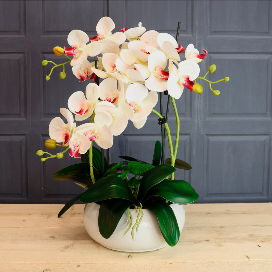 Luxury Faux Orchid Arrangement No:1