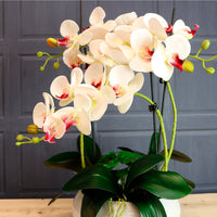 Luxury Faux Orchid Arrangement No:1