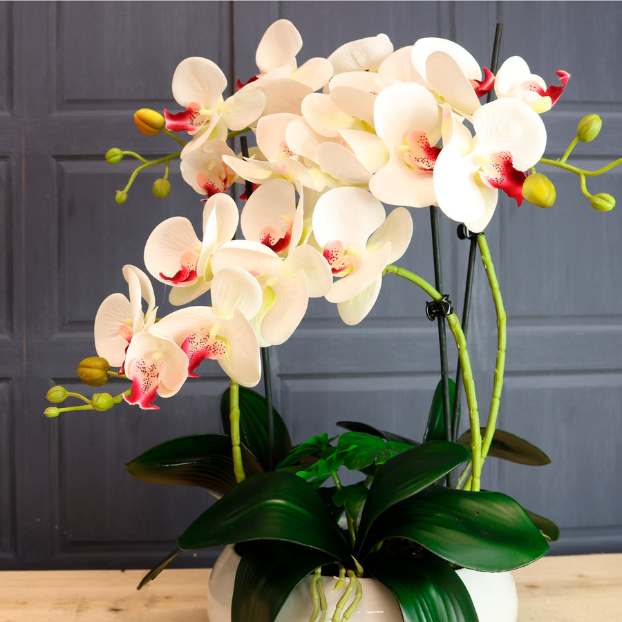 Luxury Faux Orchid Arrangement No:1