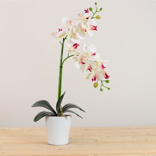 Elegant Faux Double Orchid Arrangement