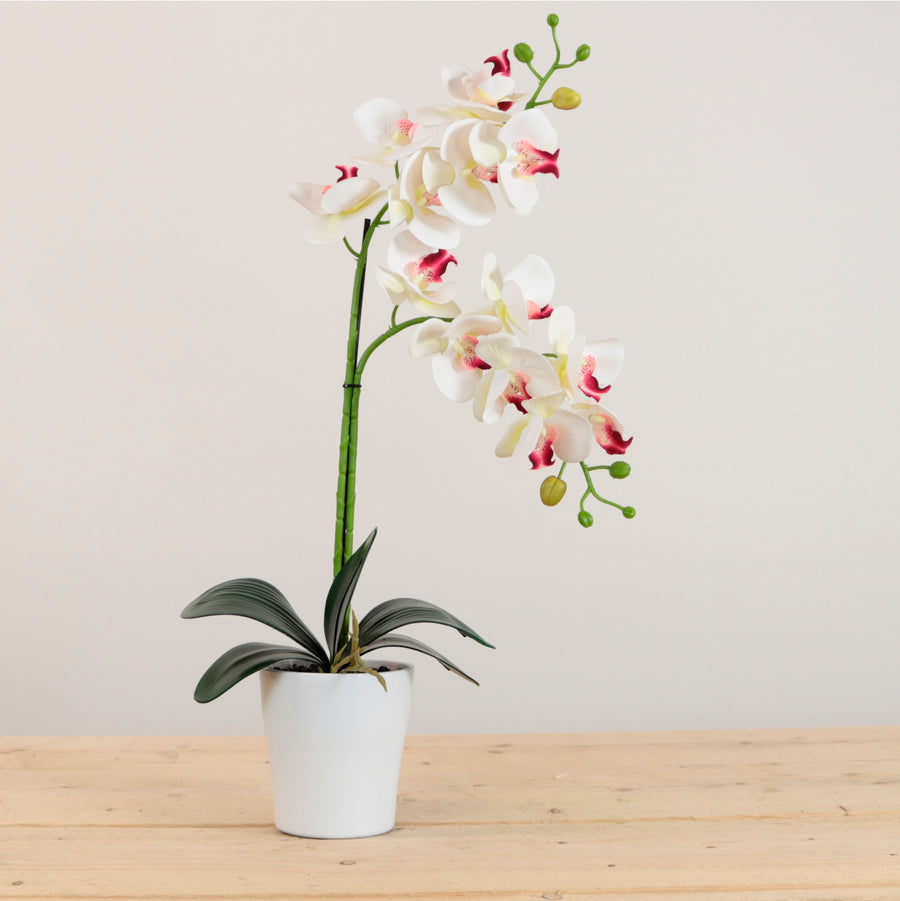 Elegant Faux Double Orchid Arrangement