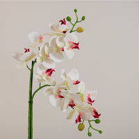 Elegant Faux Double Orchid Arrangement