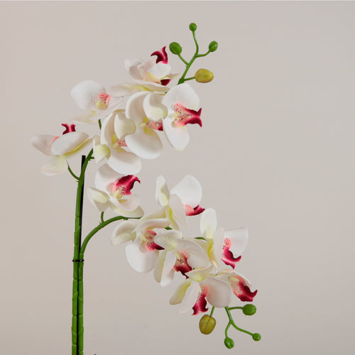 Elegant Faux Double Orchid Arrangement