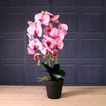 Deluxe Faux Orchid Arrangement Style 4