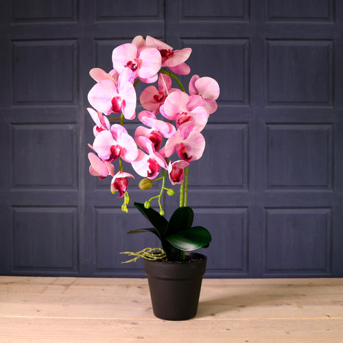 Deluxe Faux Orchid Arrangement Style 4
