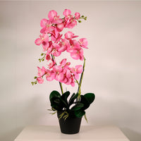 Deluxe Faux Orchid Arrangement No:2 Dusty Blush