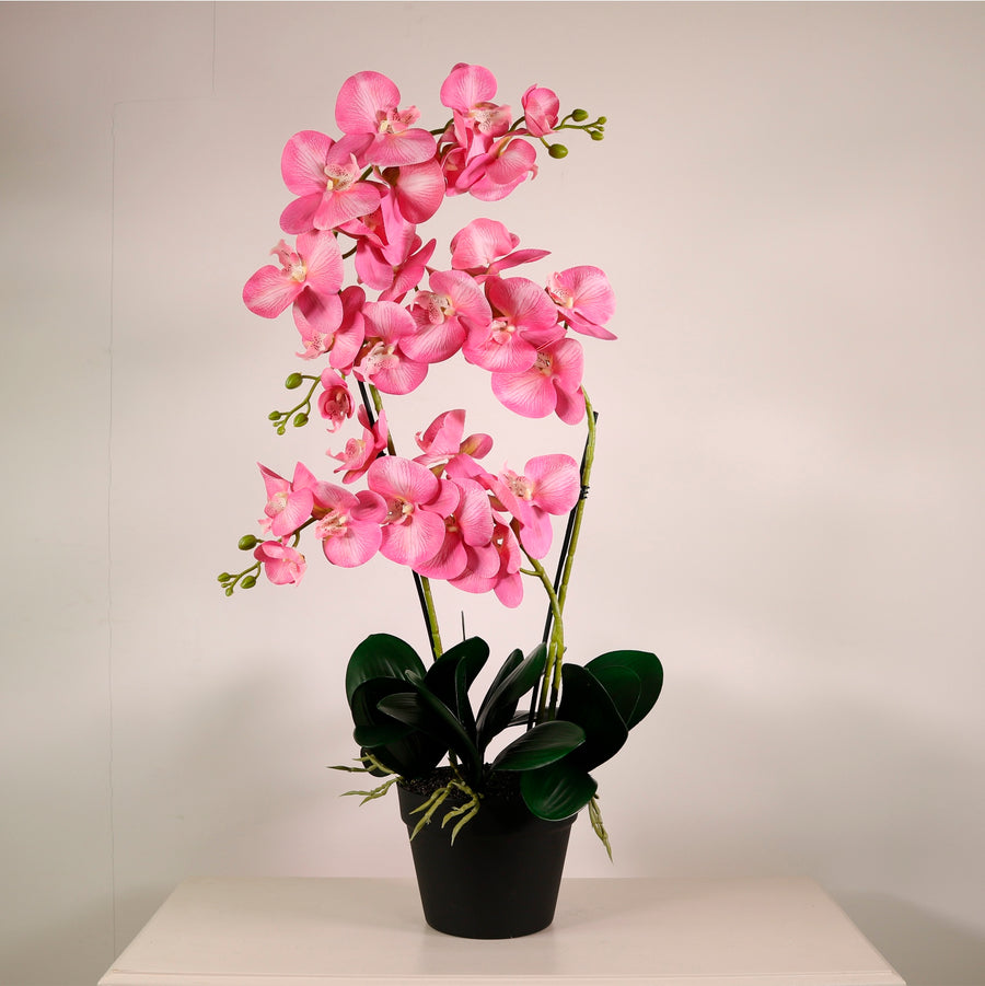 Deluxe Faux Orchid Arrangement No:2 Dusty Blush
