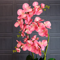 Deluxe Faux Orchid Arrangement No:2 Dusty Blush