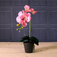 Deluxe Faux Orchid Arrangement Style 3