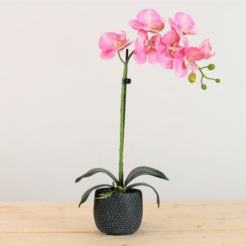 Elegant Faux Single Orchid Arrangement