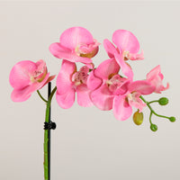 Elegant Faux Single Orchid Arrangement