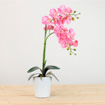 Elegant Faux Double Orchid Arrangement