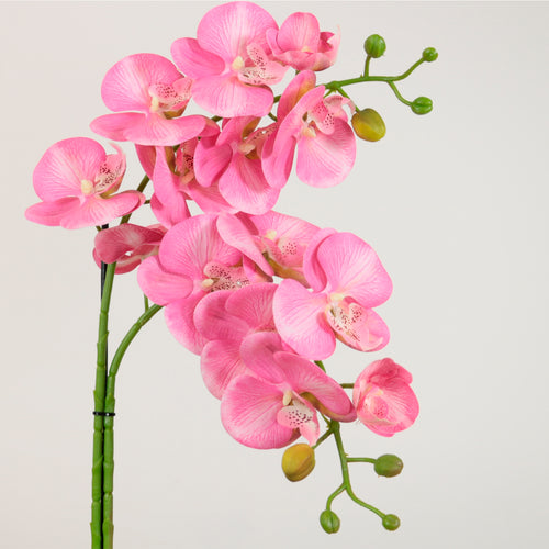 Elegant Faux Double Orchid Arrangement