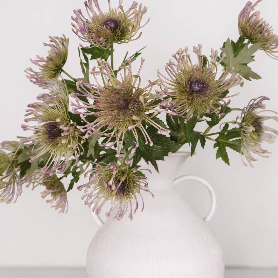 Protea Spray