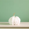 Festive Fur Pumpkin (16cm)