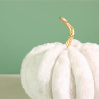 Festive Fur Pumpkin (20cm)
