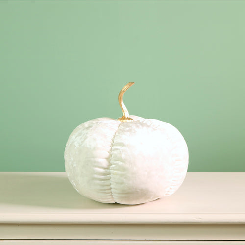 Festive Velour Pumpkin Ivory (20cm)