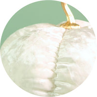 Festive Velour Pumpkin Ivory (20cm)