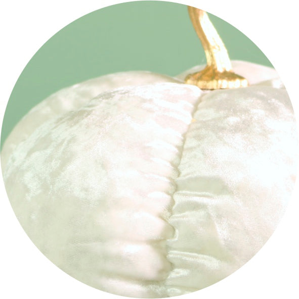 Festive Velour Pumpkin Ivory (20cm)