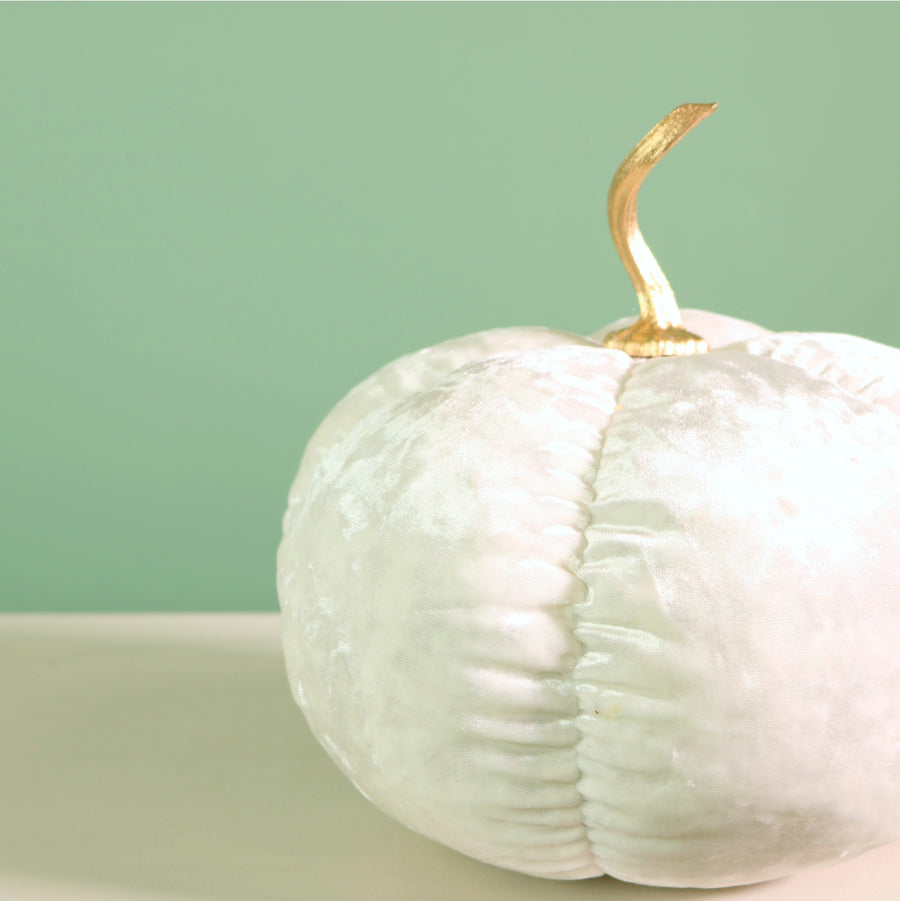 Festive Velour Pumpkin Ivory (20cm)