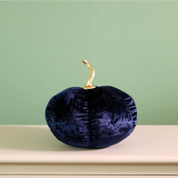 Festive Velour Pumpkin Ivory (20cm)