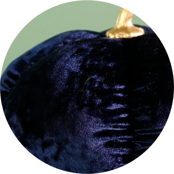 Festive Velour Pumpkin Ivory (20cm)