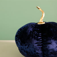 Festive Velour Pumpkin Ivory (20cm)
