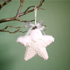 Festive Iridescent Woven Star