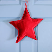 Velvet Hanging Star Cushion