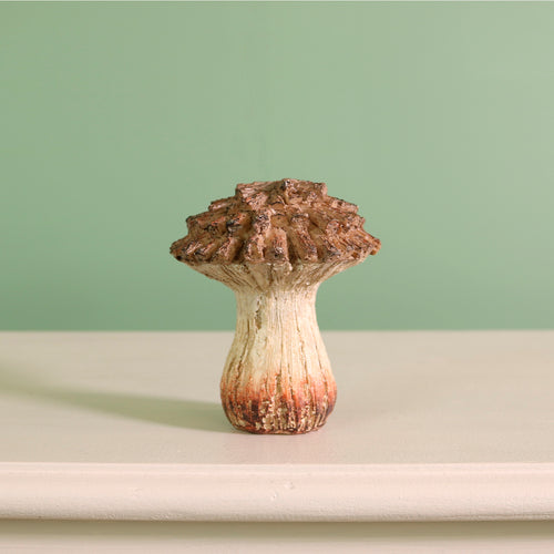 Autumn Pinecone Toadstool