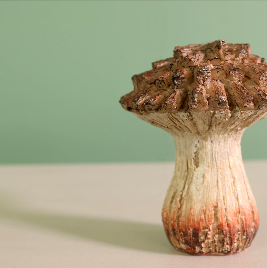 Autumn Pinecone Toadstool