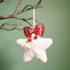 Festive Two Tone Woven Hanging Star