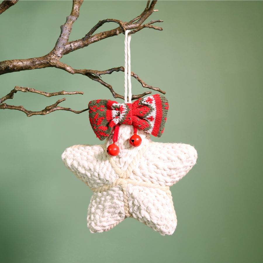 Festive Two Tone Woven Hanging Star