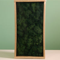 Decorative Reindeer Moss (500g)