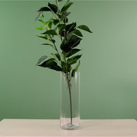 Cylinder Vase (Height 25cm)