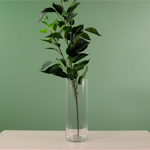 Cylinder Vase (Height 25cm)