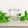 Flower Pot (8cm)