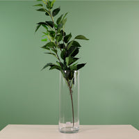 Cylinder Vase (Height 30cm)