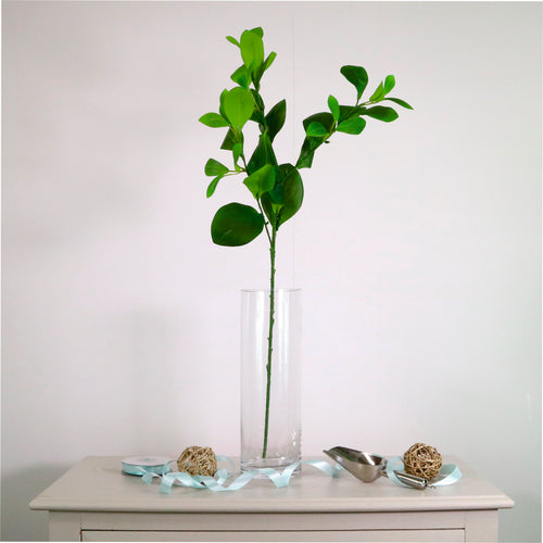 Cylinder Vase (Height 30cm)
