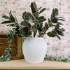 Fibre Clay Vase Pot No:02