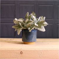 Ceramic Pot No:04